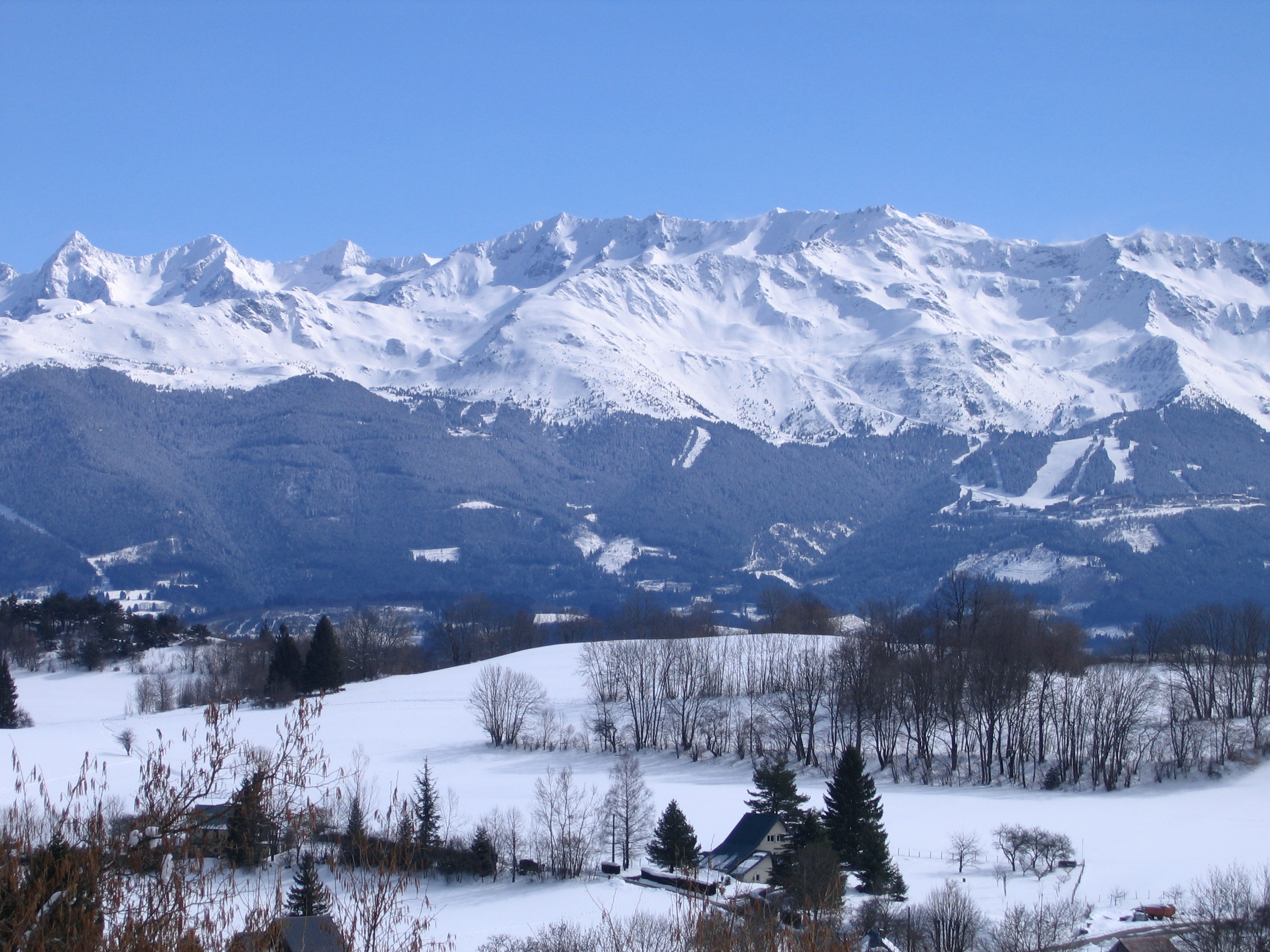 chartreuse 063
