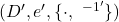 (D',e',\{\cdot ,\ ^{-1'}\})